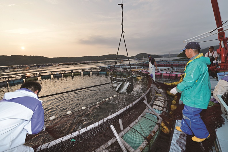 日本長島町「鰤魚獎學金」出奇招 拉青年返鄉創熱潮_img_2